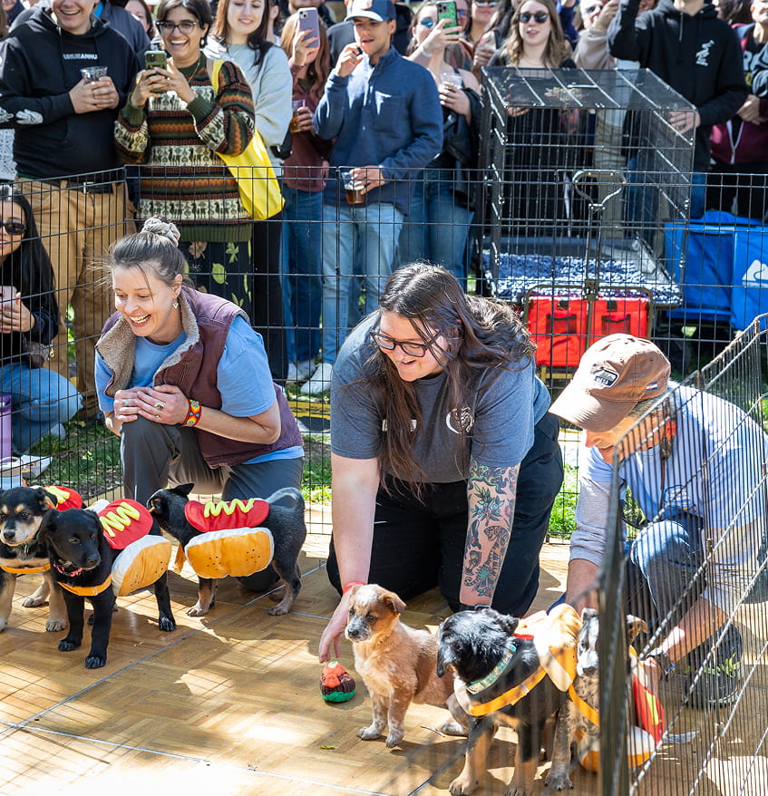 FlagstaffOktoberfest