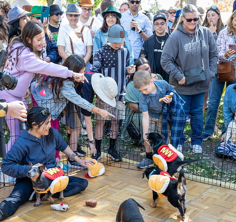 FlagstaffOktoberfest-046